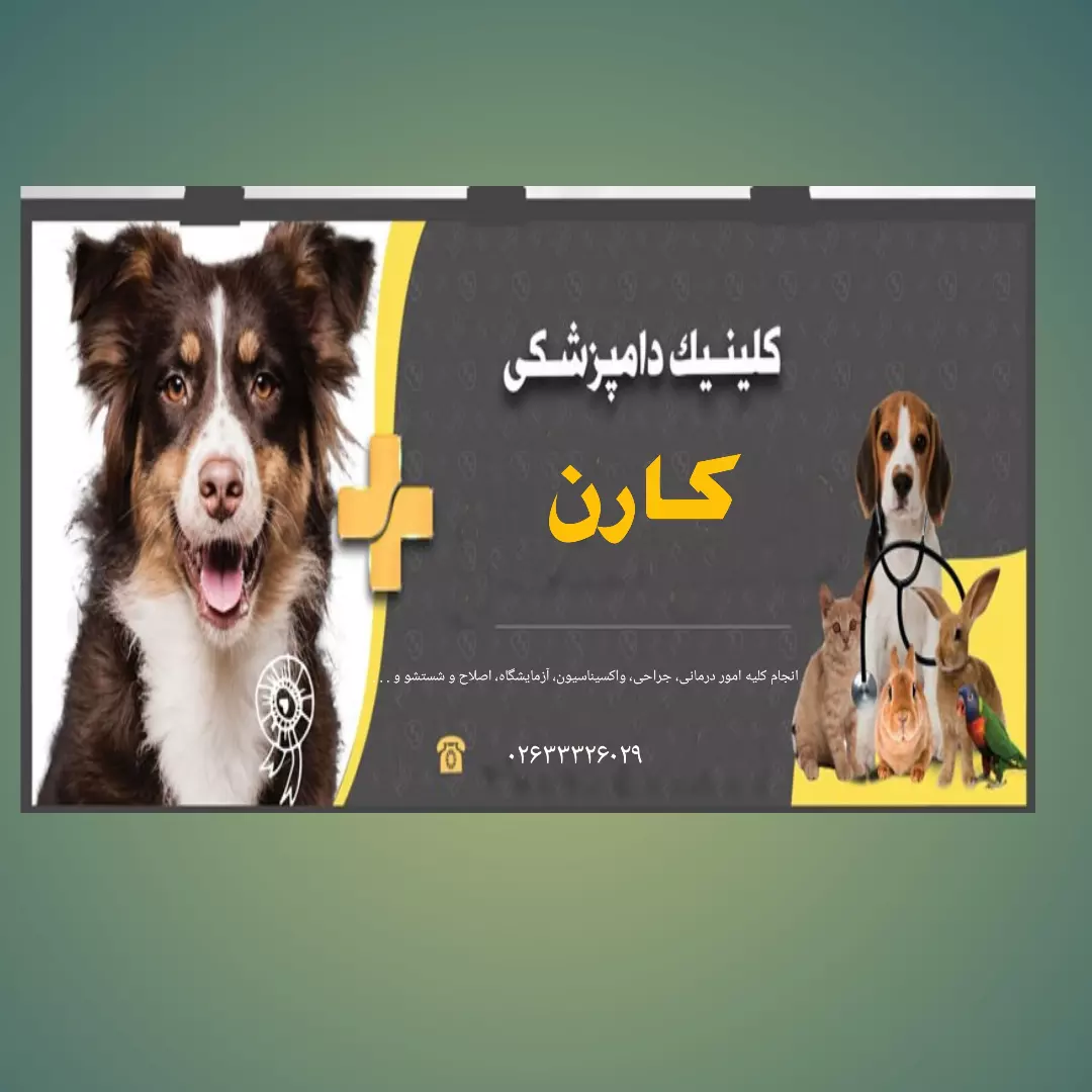 کلینیک دامپزشکی