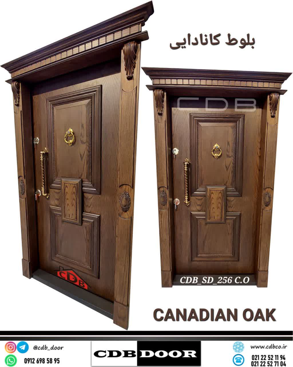 درب ضد سرقت araz door