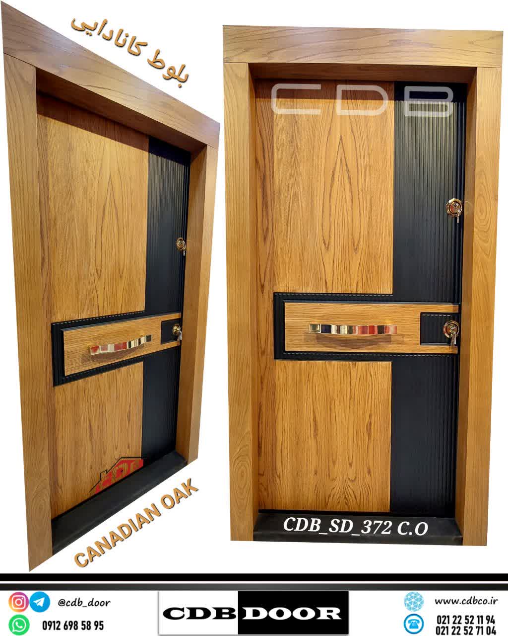 درب ضد سرقت araz door