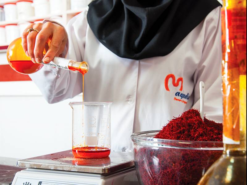 تولید کننده انواع طعم دهنده، رنگ خوراکی طبیعی، و چاشنی