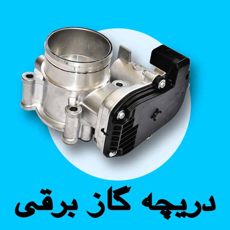 تعمیر دریچه گاز برقی ۲۰۶ تعمیر پدال گاز برقی