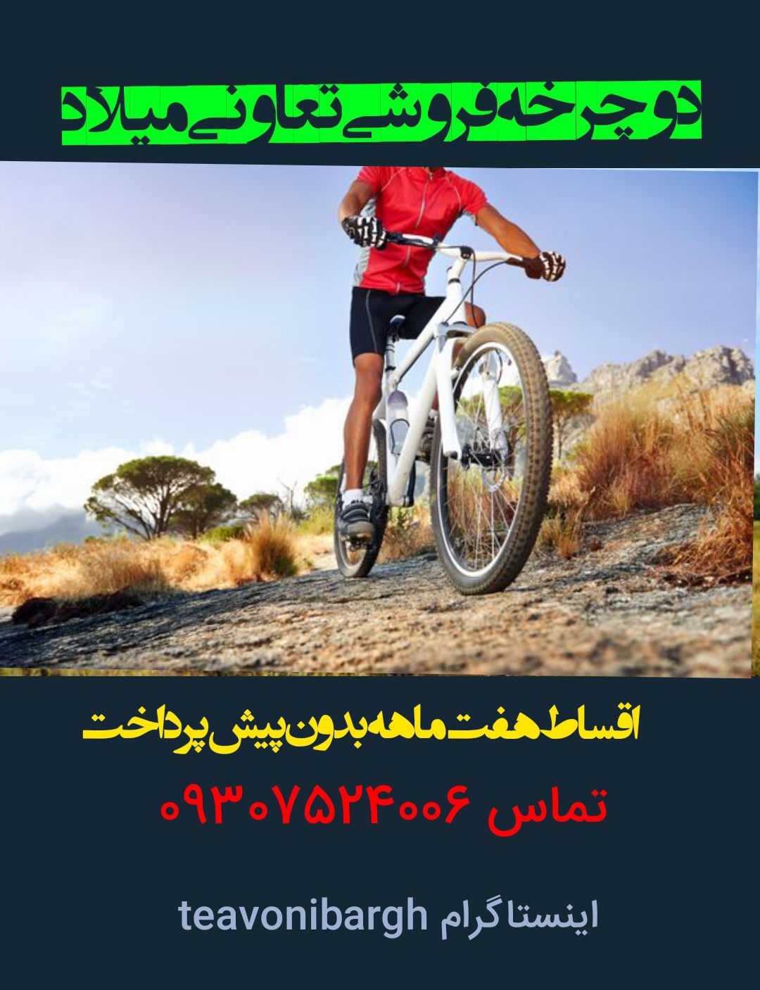 دوچرخه برندهای معتبر اصل تایوان