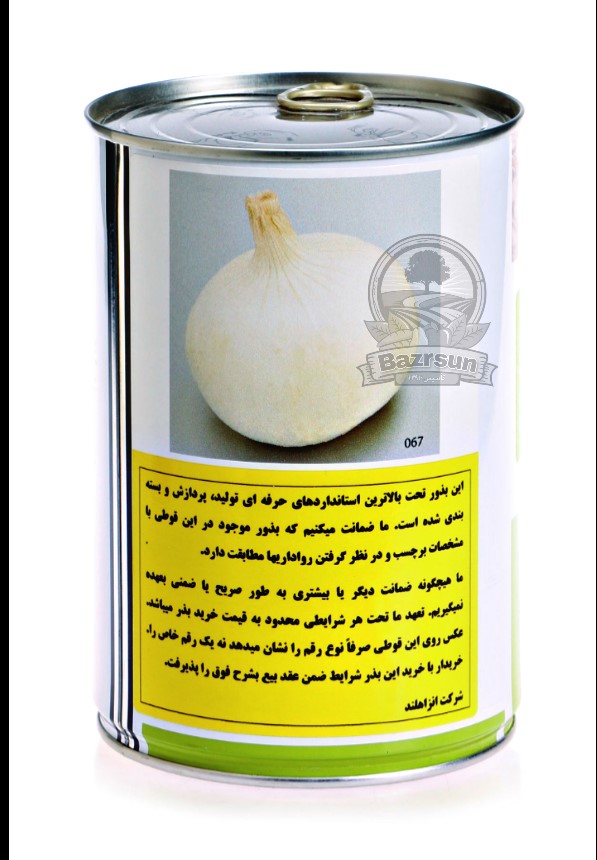 بذر پیاز سفید مینروا