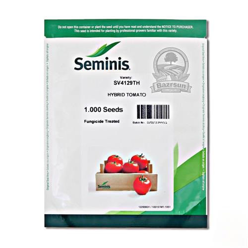 بذر گوجه فرنگی هیبرید 4129 از شرکت سمینیس آمریکا