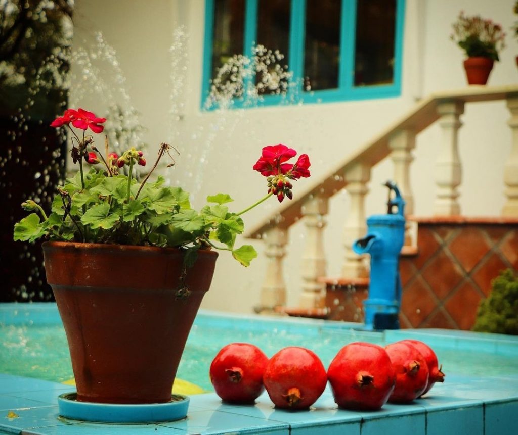رستوران و خانه باغ یارماشالله