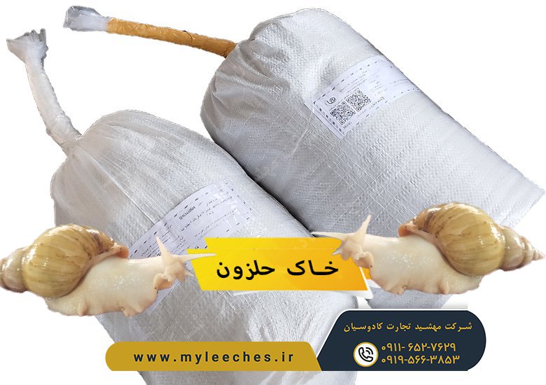 خاک حلزون را چگونه تهیه کنیم