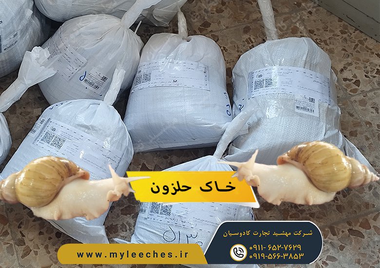 خاک حلزون از کجا تهیه کنیم