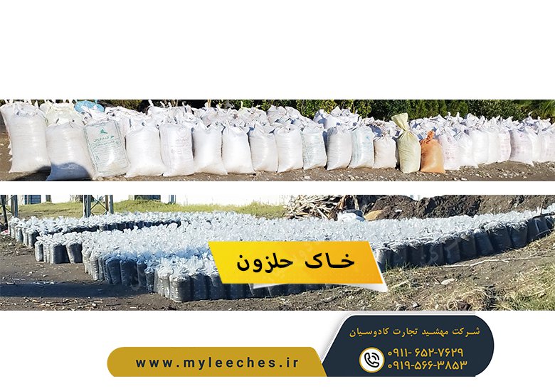 خاک حلزون را چگونه تهیه کنیم