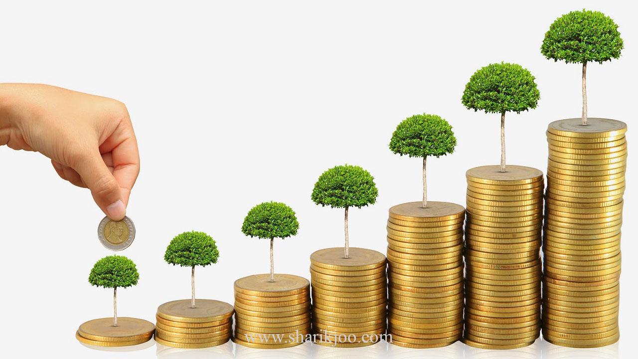 جذب سرمایه گذار برای تولید