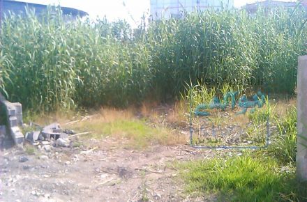 فروش زمین ساحلی