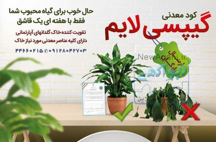 کود معدنی گیپسی لایم، حال خوب برای گیاه محبوب شما