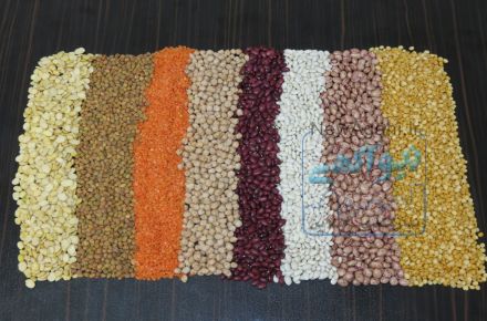 شرکت صادرات واردات گوهرچین(حبوبات)