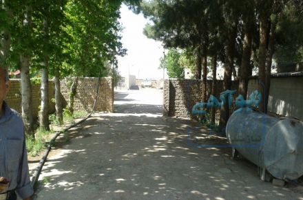 مرغداری تخم گذار