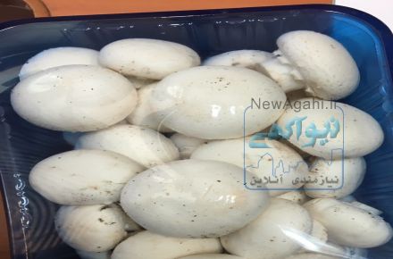 پخش قارچ به قیمت عمده