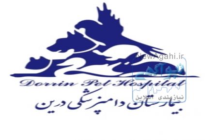 بیمارستان دامپزشکی شبانه روزی درین