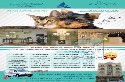 بیمارستان دامپزشکی شبانه روزی درین