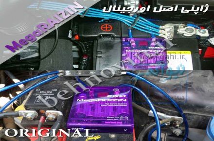 چیپ رایزین بنفش ژاپنی با هولوگرام