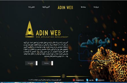 طراحی وب سایت برنامه نویسی تحت وب