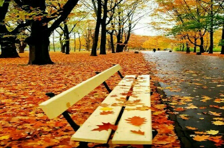 آموزش حرفه ای رانندگی