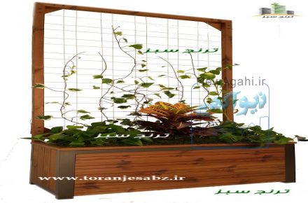 دیوار سبز ، پارتیشن سبز 