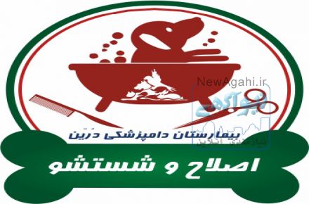 اصلاح و شستشوی حیوانات خانگی درین