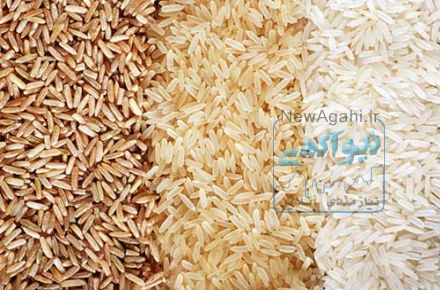 کارخانه شالیکوبی و برنج کوبی رجبی