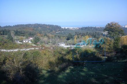 فروش زمین در چالوس