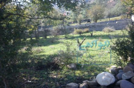 فروش زمین در چالوس