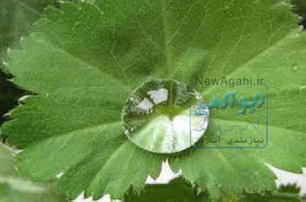 محافظ نانو شیشه و کامپوزیت