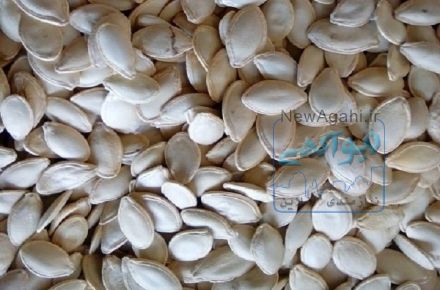 تخمه آفتابگردان و کدو