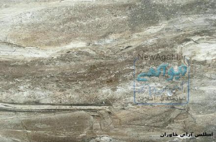 صادرات پردیس 
