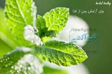 فروش عرقیات و معجون های گیاهی با کیفیت استثنایی