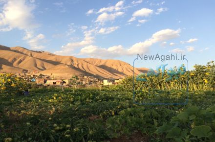فروش زمين هاي دماوند 