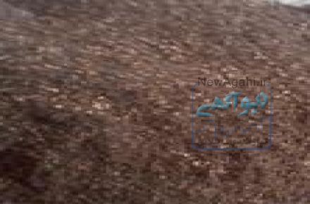 آرد خرما و هسته خرما : آرد هسته خرما  محصولی جدید ، کاملا طبیعی و ارگانیک و مقرون به صرفه 