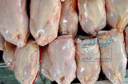 فروش مرغ بونه انتی بیوتیک