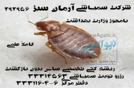  سمپاشی تضمینی سوسک فاضلاب و سوسک ریز آشپزخانه با تضمین شش ماهه