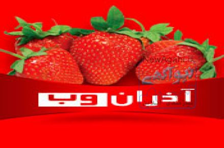 طراحی سایت در کرج
