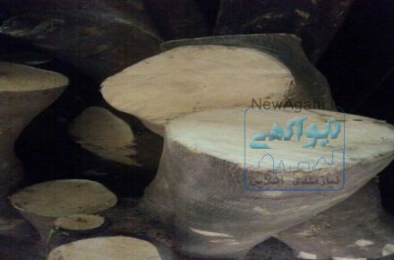 مرکز فروش چوب نارنج شیراز