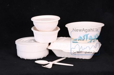 تولید کننده انواع ظروف یکبار مصرف
