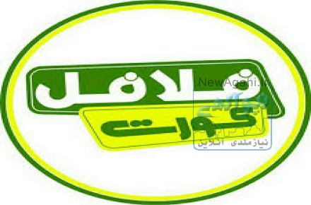 اعطای نمایندگی فلافل کورت