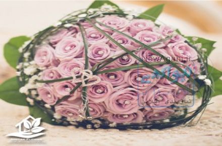گل آرایی حرفه ای آمیتیس