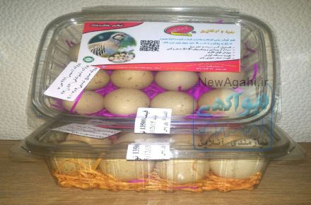 فروش تخم  خوراکی ونطفه دار کبک