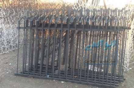 حفاظ ايران