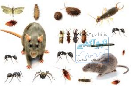 سمپاشی تضمینی با مجوز رسمی و زیر نظر وزارت بهداشت. سمپاشی ادارات و منازل با گارانتی 