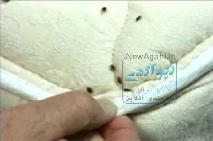 سمپاشی تضمینی با مجوز رسمی و زیر نظر وزارت بهداشت. سمپاشی ادارات و منازل با گارانتی 