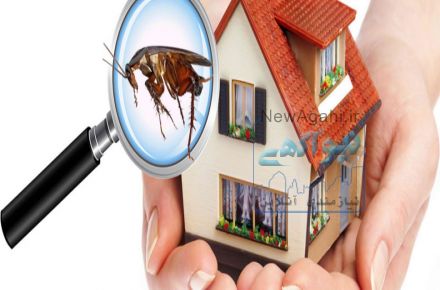 سمپاشی تضمینی با مجوز رسمی و زیر نظر وزارت بهداشت. سمپاشی ادارات و منازل با گارانتی 