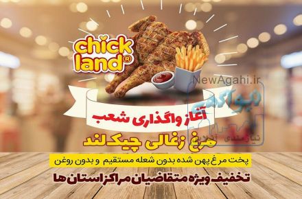 فرصت سرمایه گذاری جهت راه اندازی فست فود سالم