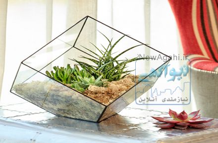 گل مینیاتور