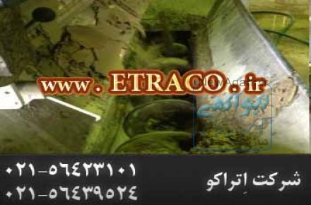 نوار  نقاله پیچشی