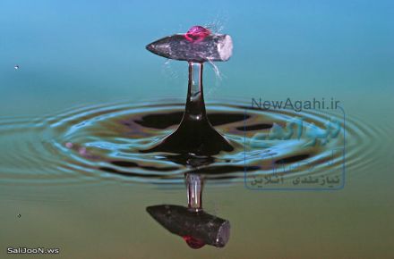 طراحی سایت